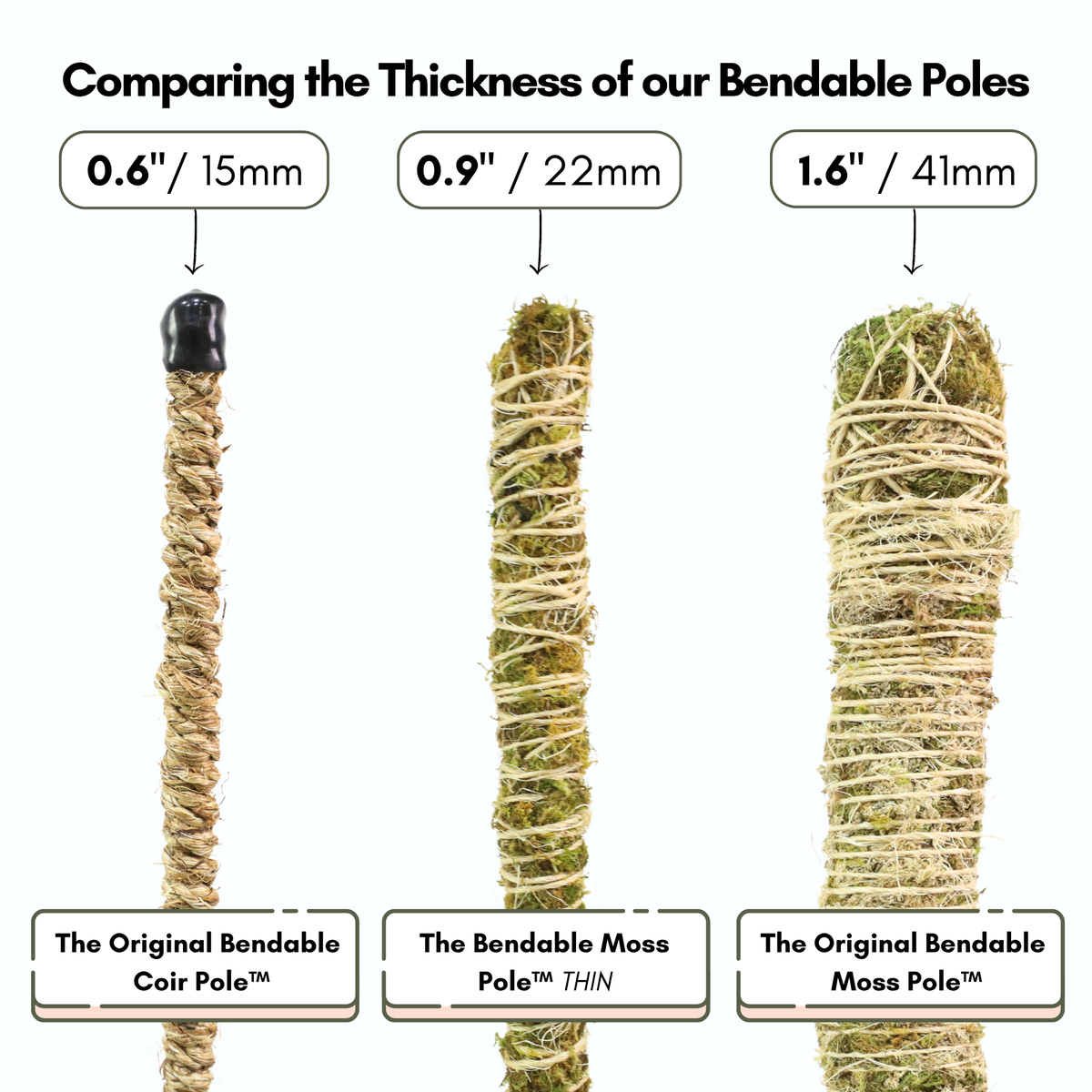 The Bendable Moss Pole™ 𝘛𝘏𝘐𝘕
