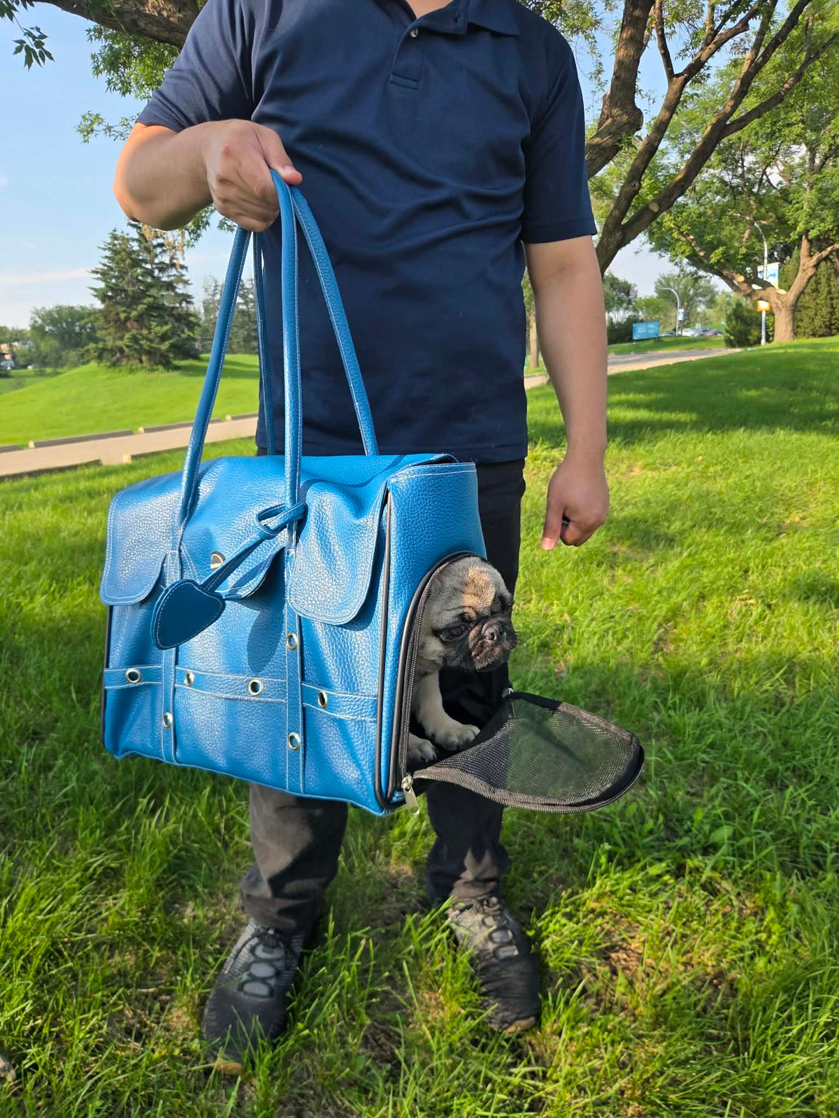 Pet Carrier