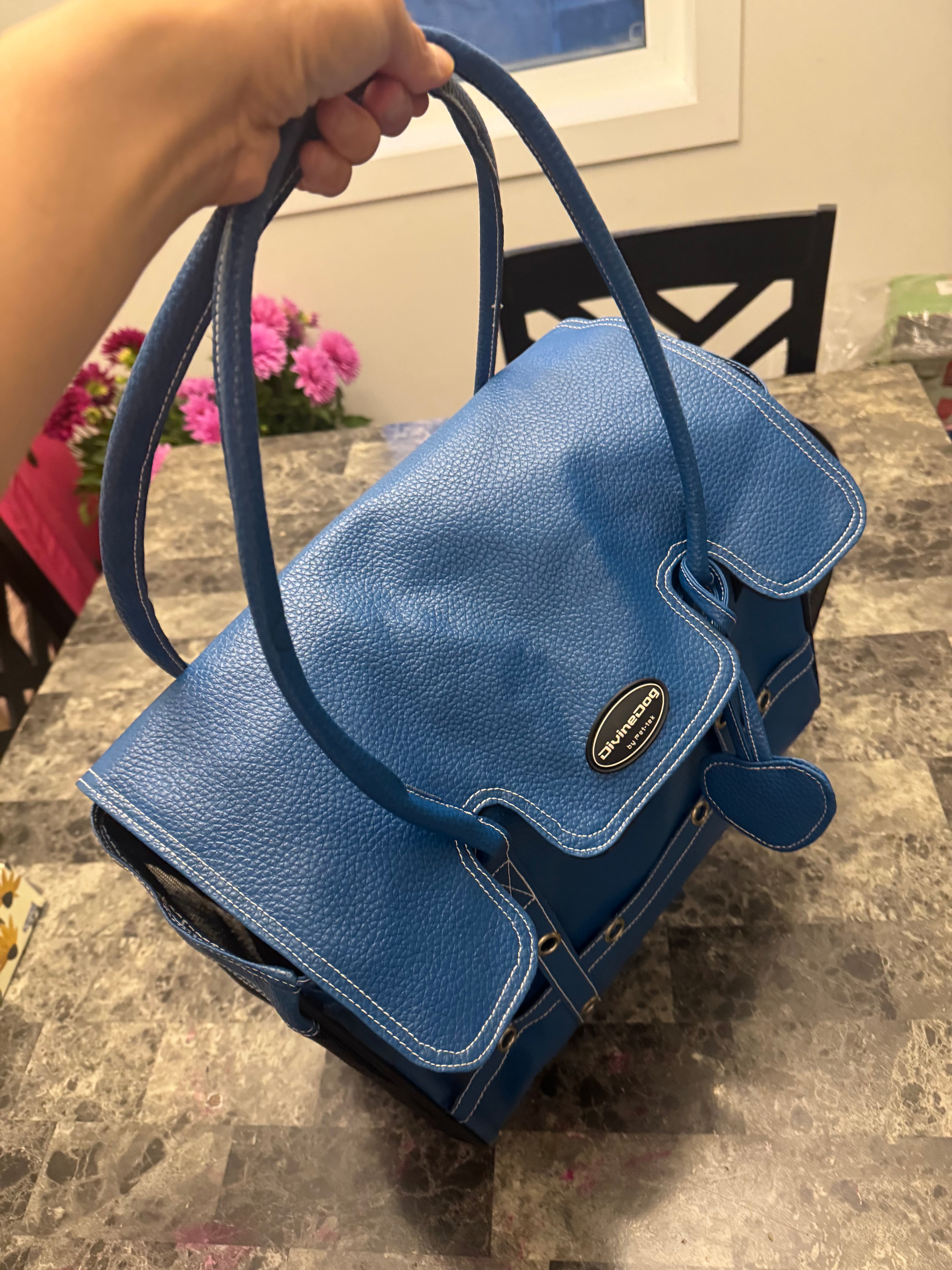 Pet Carrier Bag