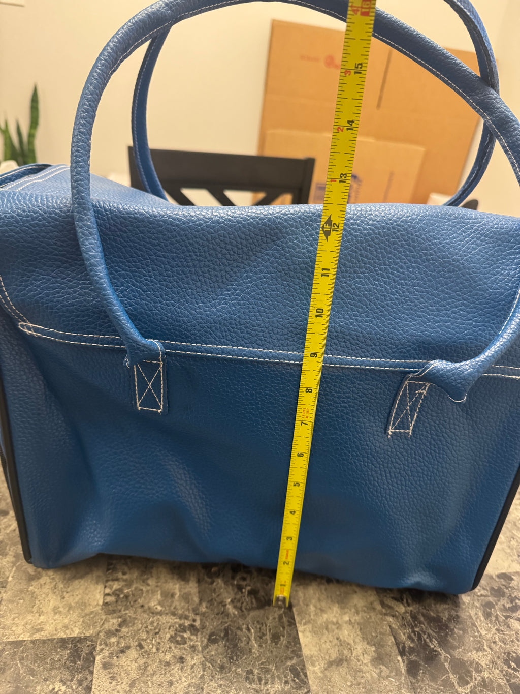 Pet Carrier Bag