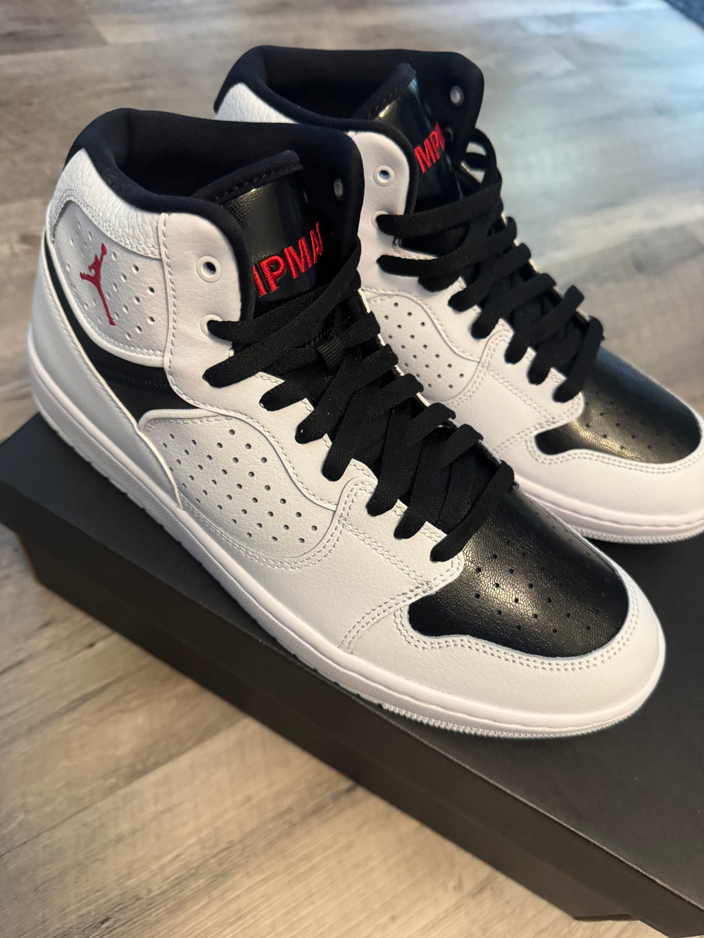 Nike Air Jordan Access
