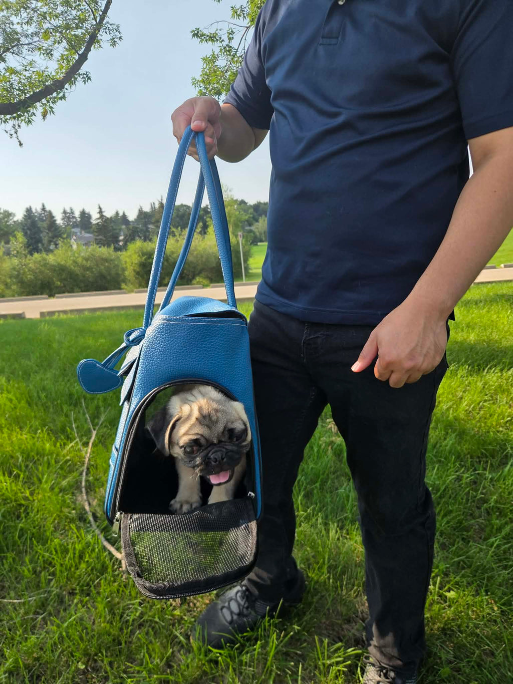 Pet Carrier Bag