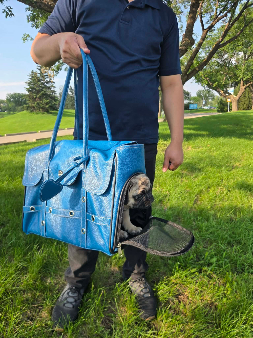 Pet Carrier Bag