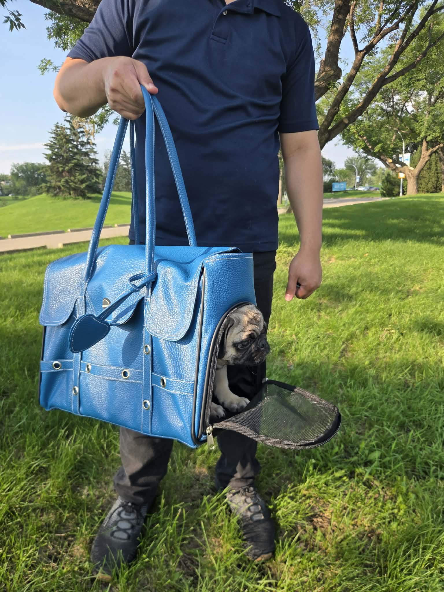 Pet Carrier Bag