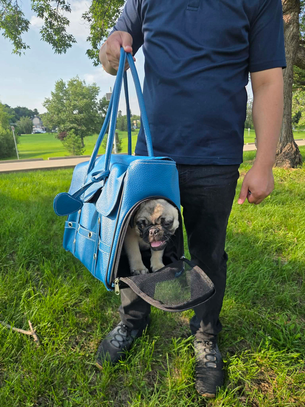 Pet Carrier Bag