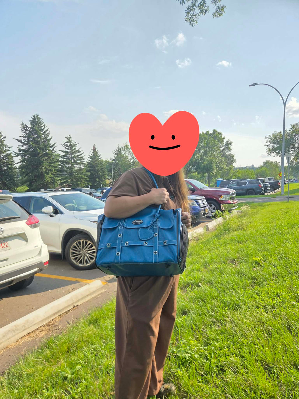 Pet Carrier Bag