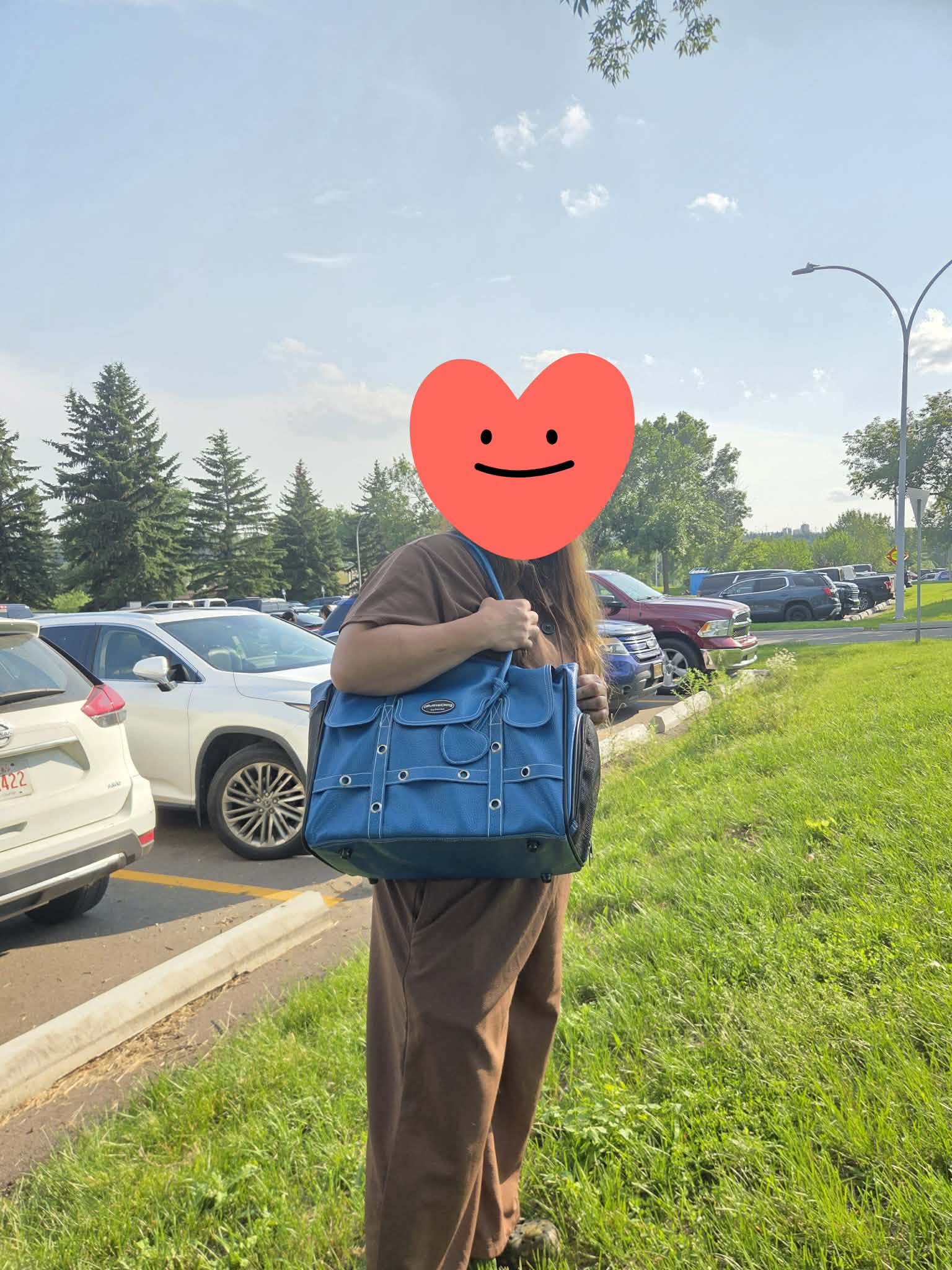 Pet Carrier Bag